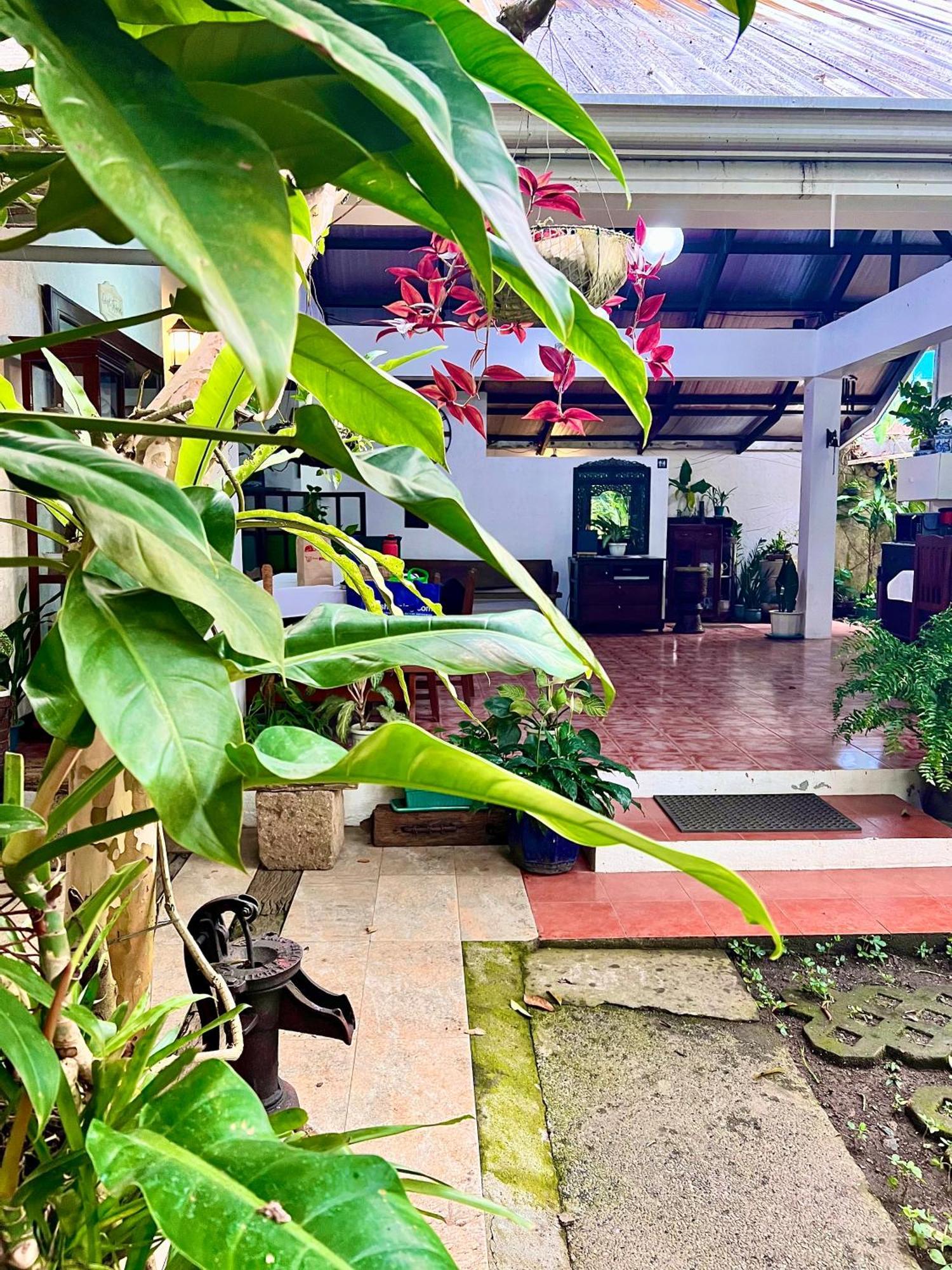 Auntie Gigi'S Place Tagaytay City Kültér fotó